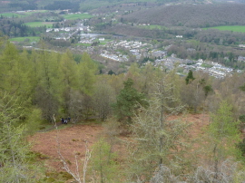Birnham view