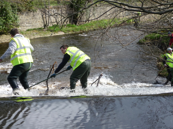 Clearing branches from the weir